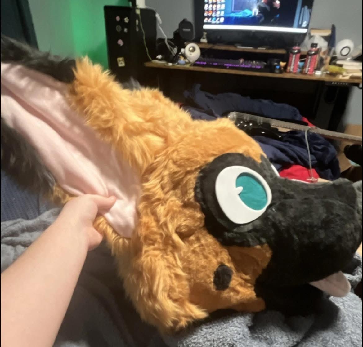 Alex Morningstar 🏳⚧ tweet media