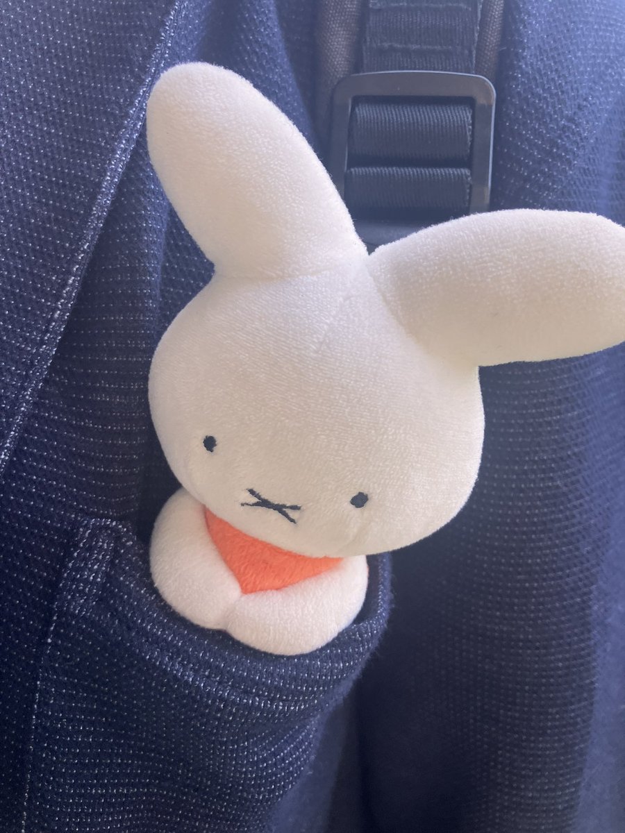 挟みたくなった　#ミッフィー