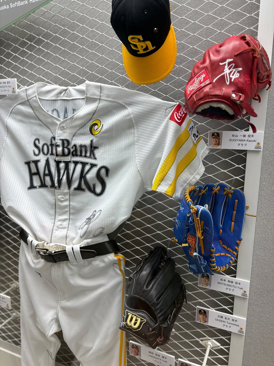 野球殿堂博物館 tweet media