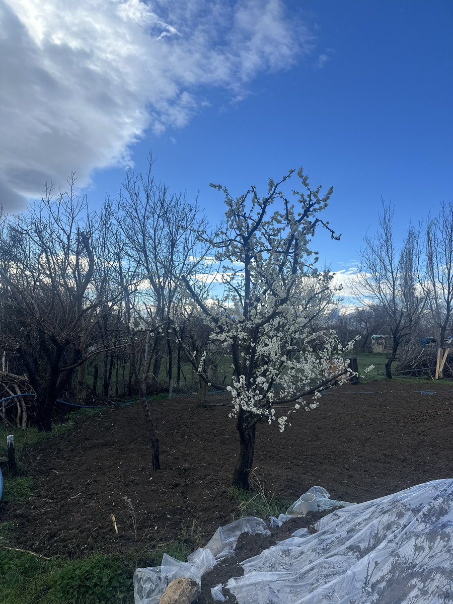 🇹🇷Mehmet Sağdıç🇹🇷 tweet media