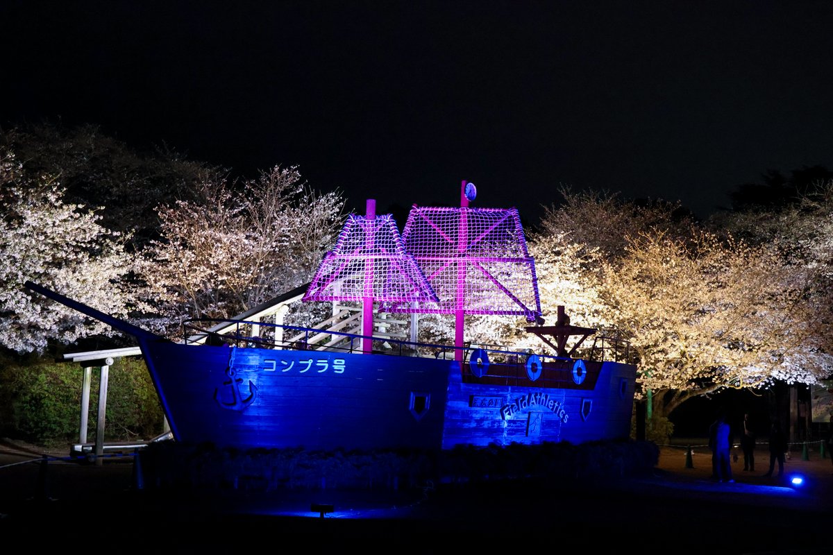 本日、日没から20時までフィールドアスレチックのソメイヨシノのライトアップを開催いたします！

皆さまのご来園をお待ちしております✨

※天候により途中で中止になる場合もございます。あらかじめご了承ください。

#清水公園 #桜ライトアップ #さくらまつり #春のおでかけ #夜桜