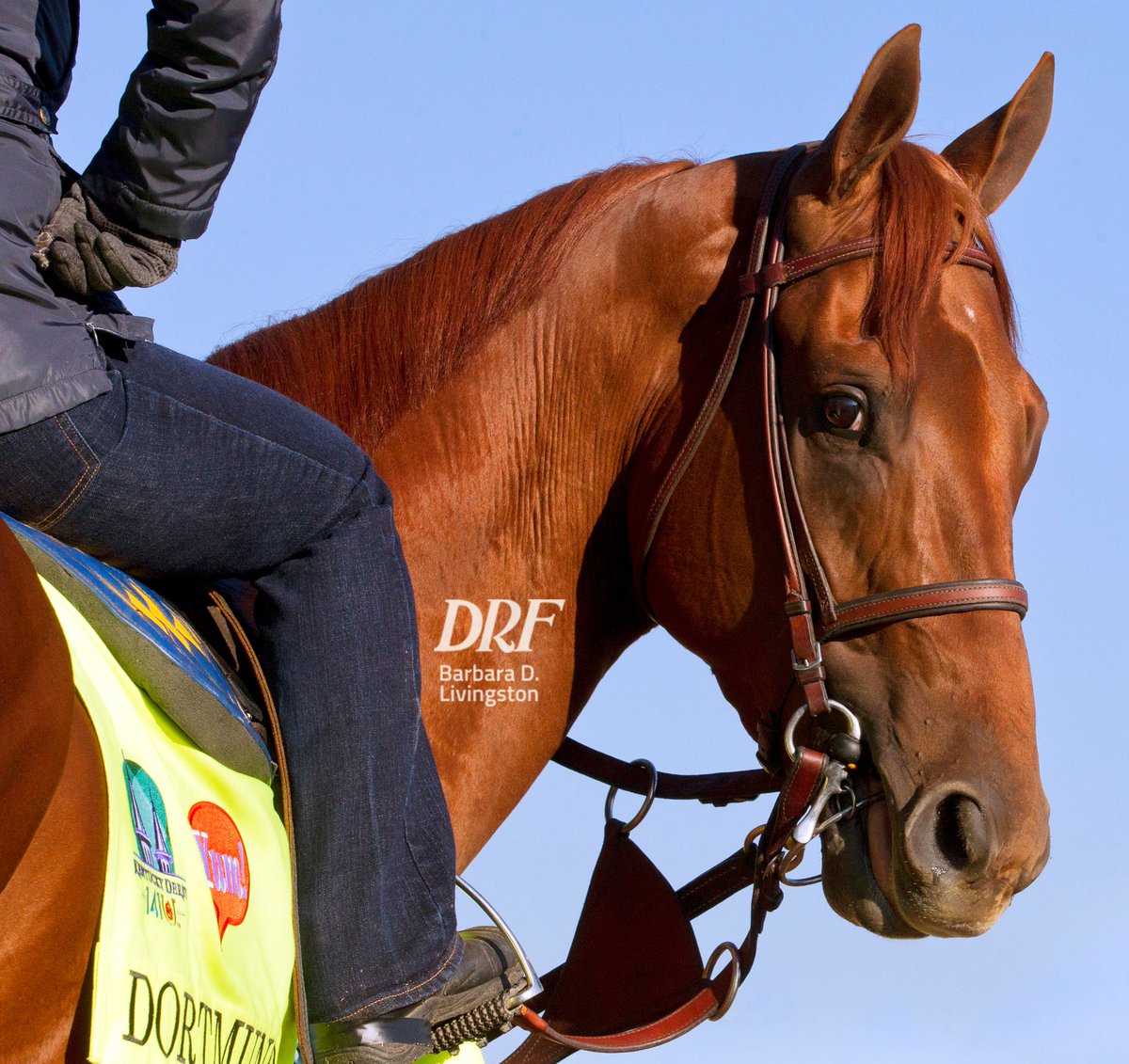 Daily Racing Form tweet media