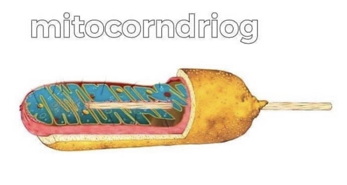 Respectful Memes tweet media