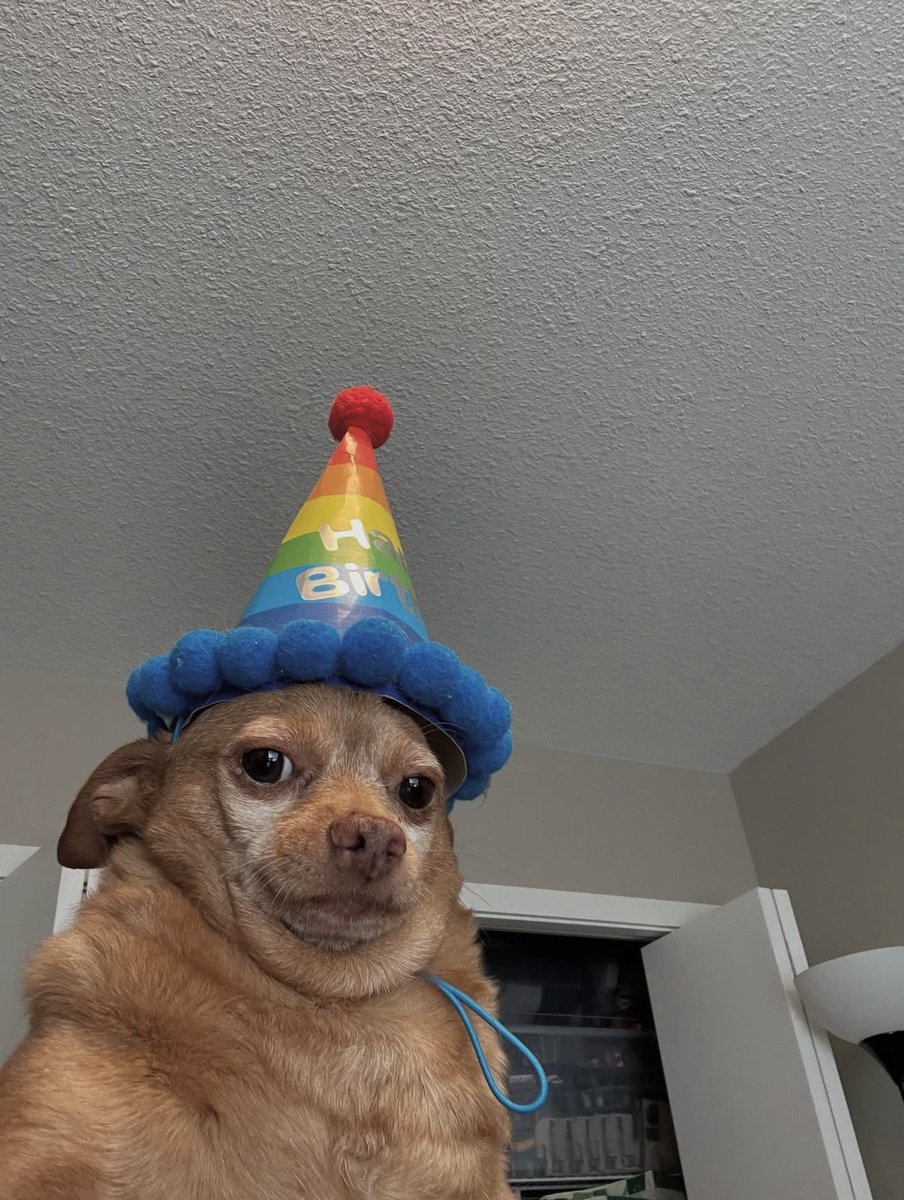 Dav Walker tweet media