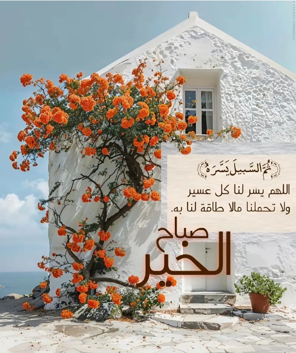 SHA~🇲🇾❤️🇹🇷 ~DM=BLOCK⛔️ tweet media