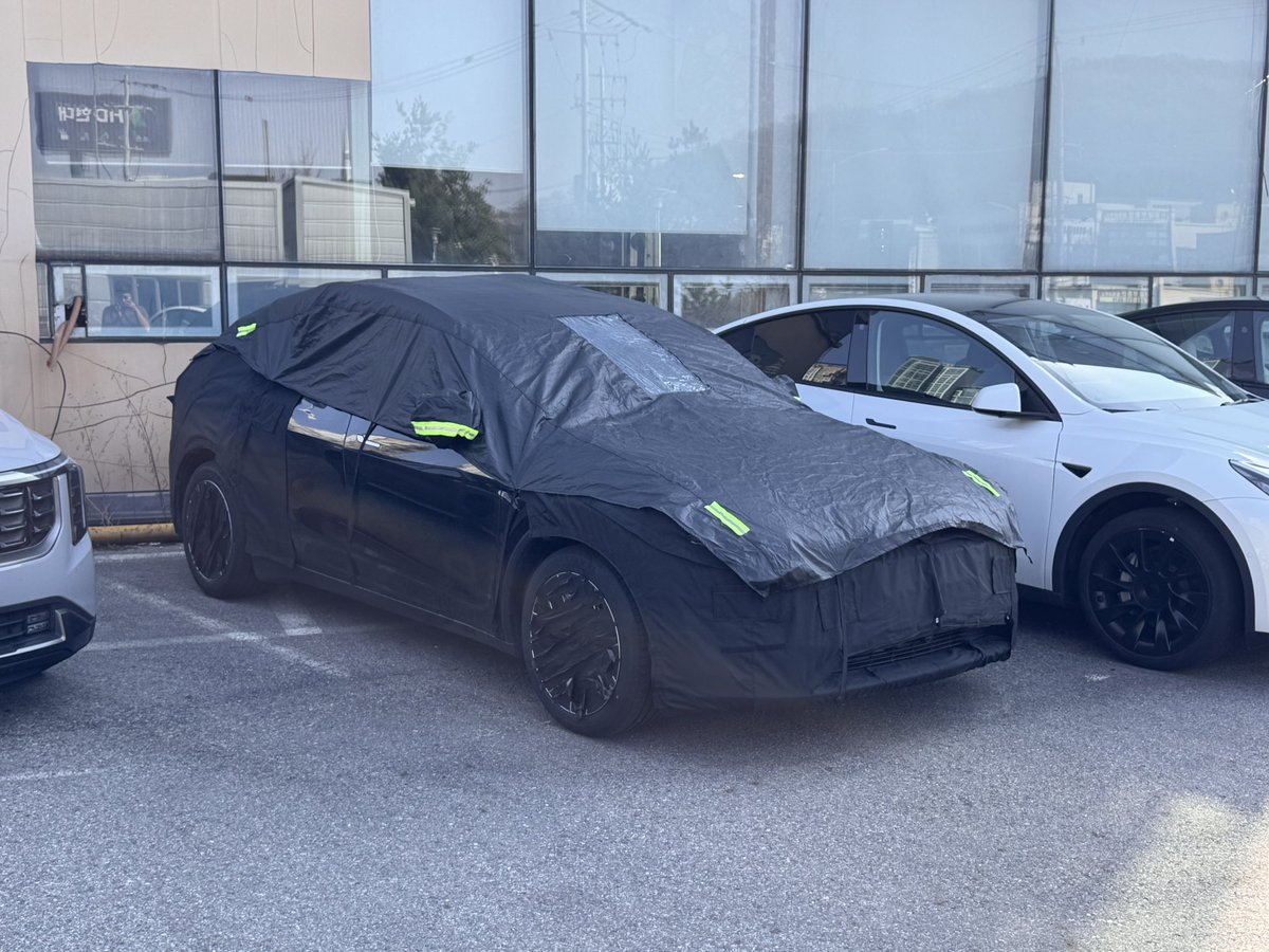 테슬라 모델 YL 목격 사진