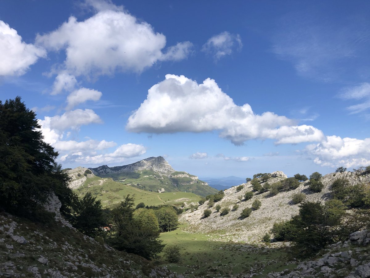 Jose Mari Azpiazu tweet media