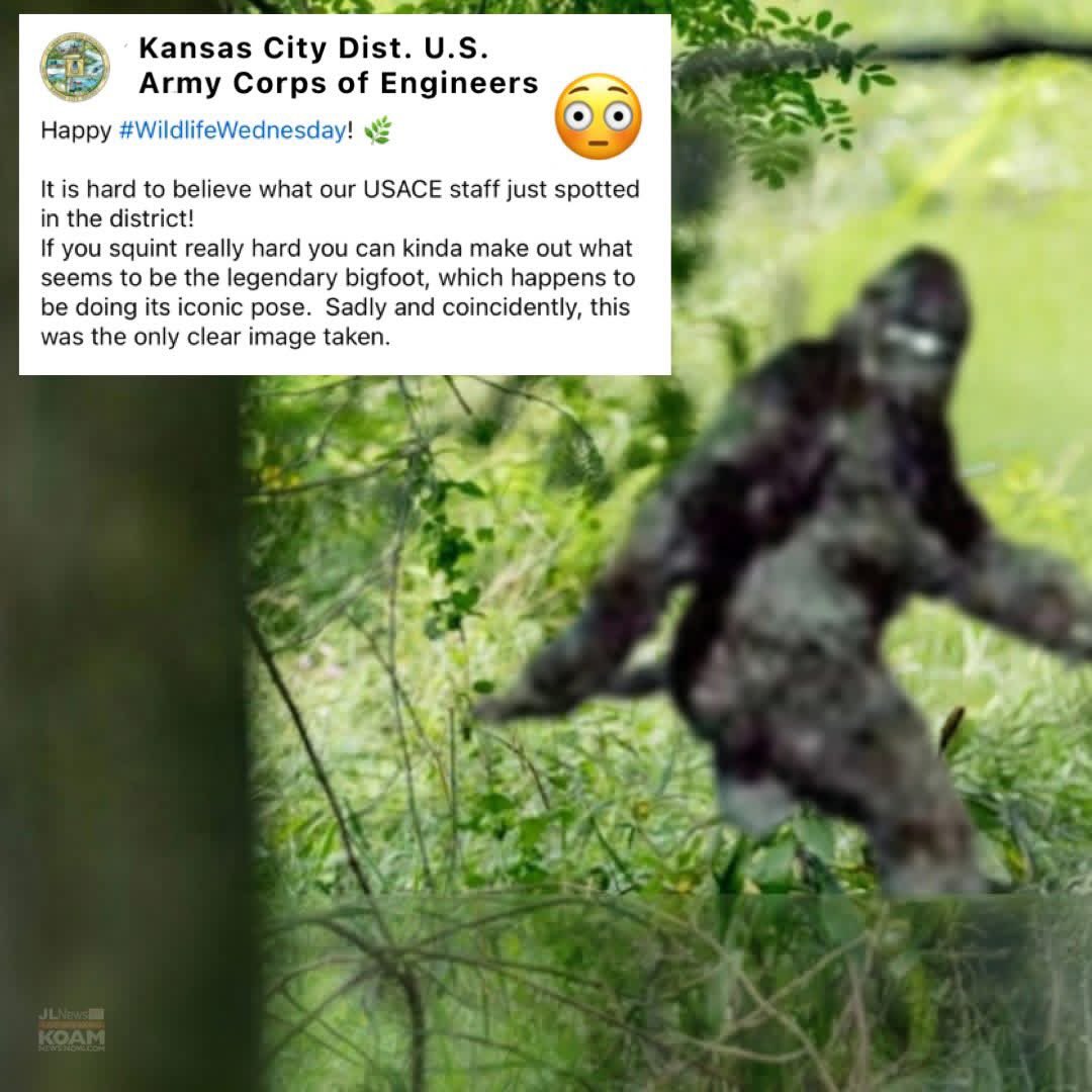 Joplin News First tweet media