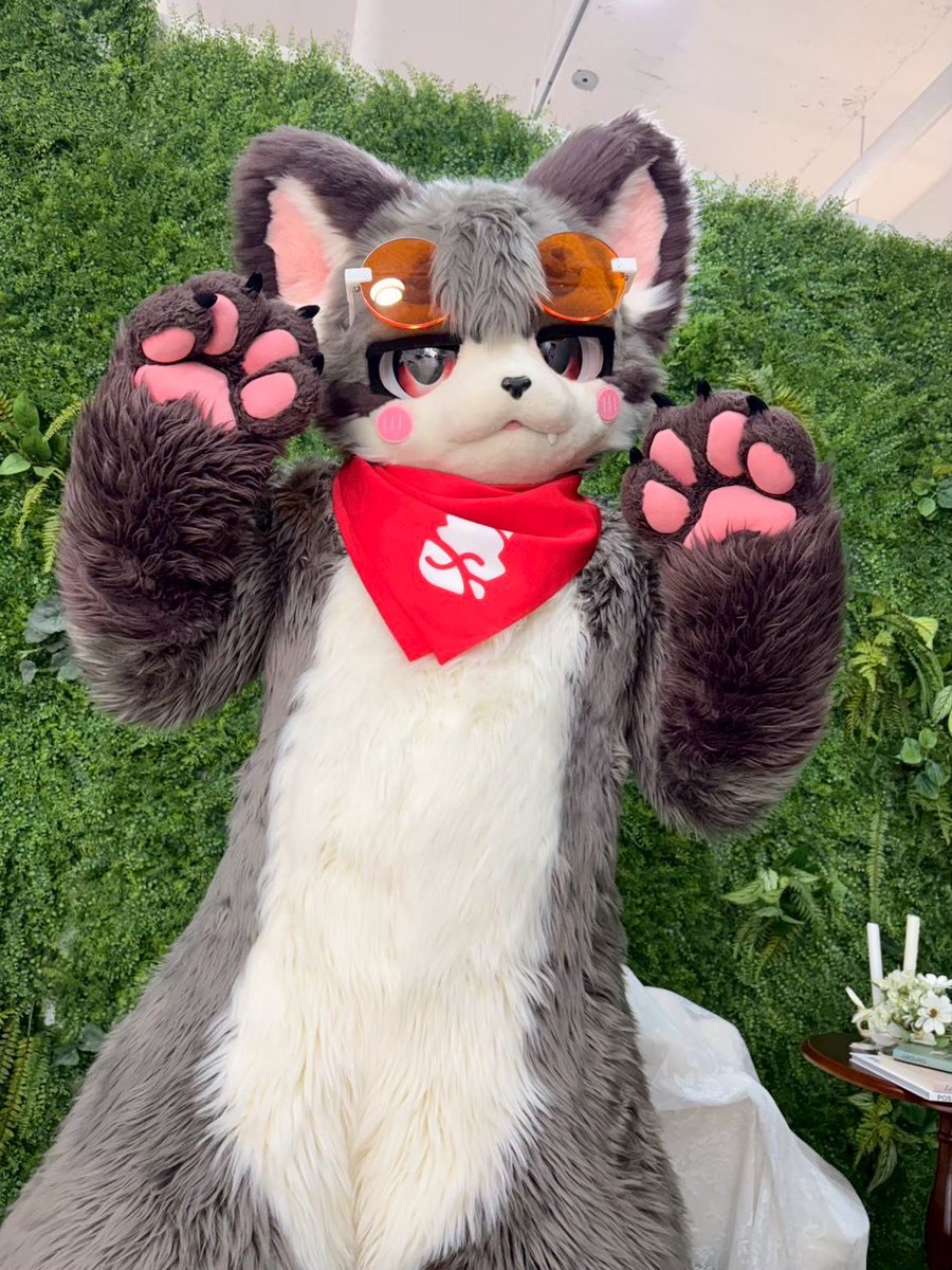 eisuke_fur's tweet photo. 🐾 https://t.co/Y9zcTPXTW8