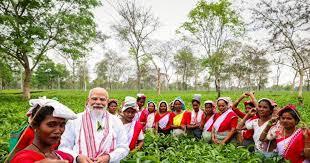 News Network 24x7 tweet media