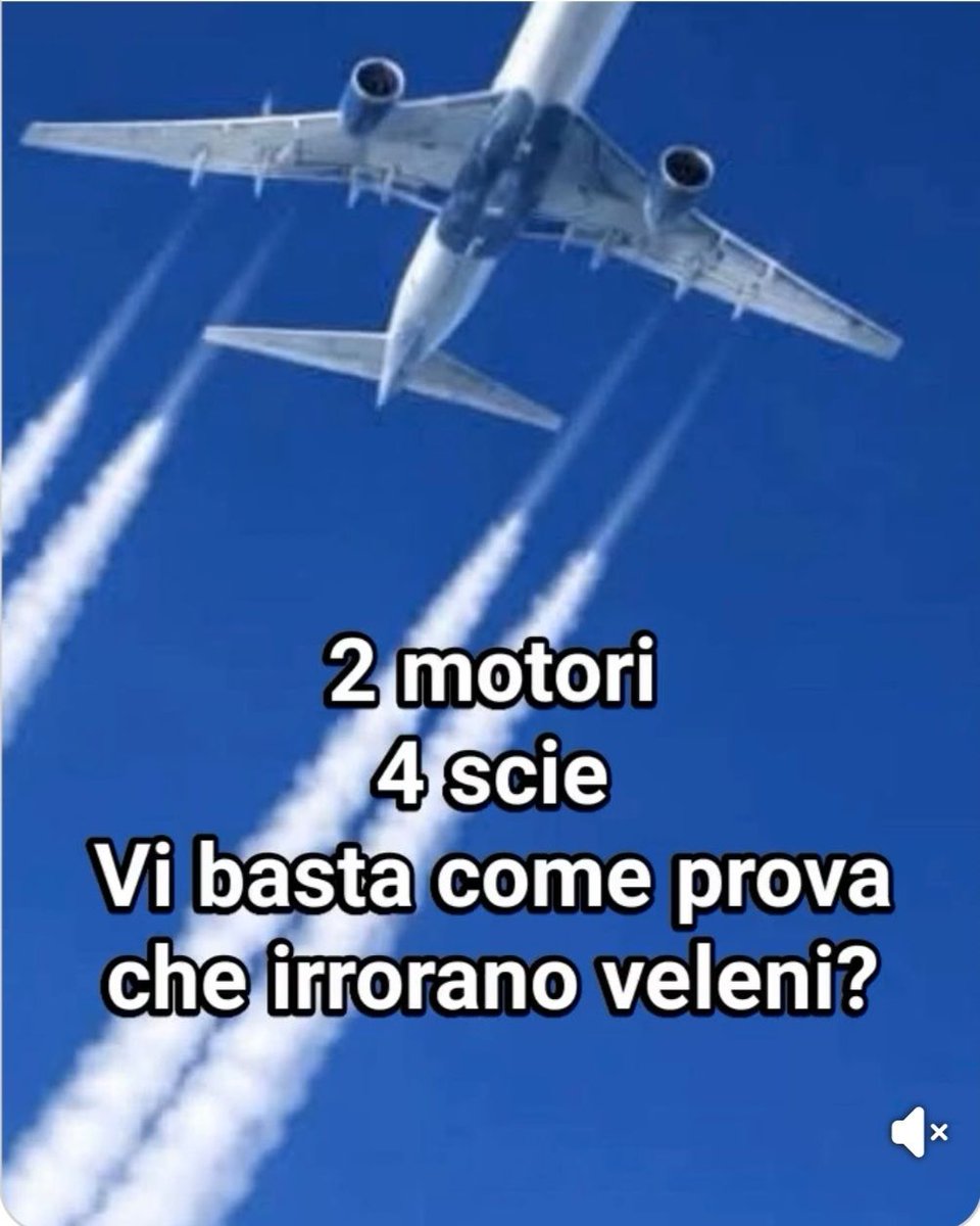 Guerriero di luce tweet media