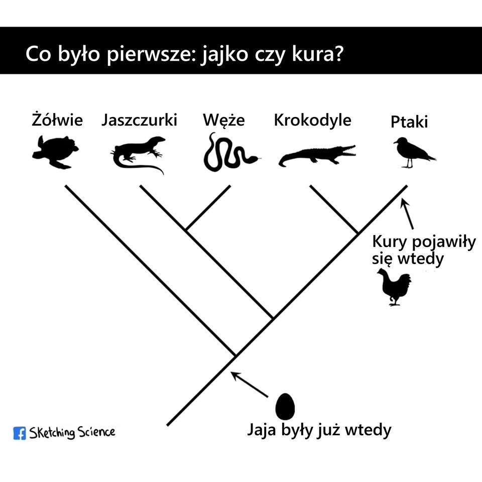 Łukasz Sakowski tweet media