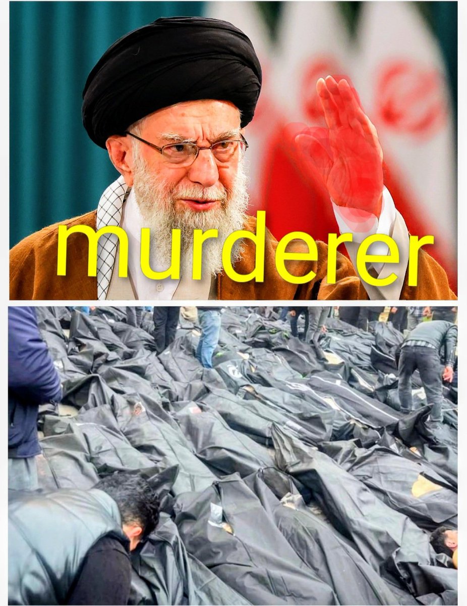 🇮🇱 Romi 🐬 tweet media