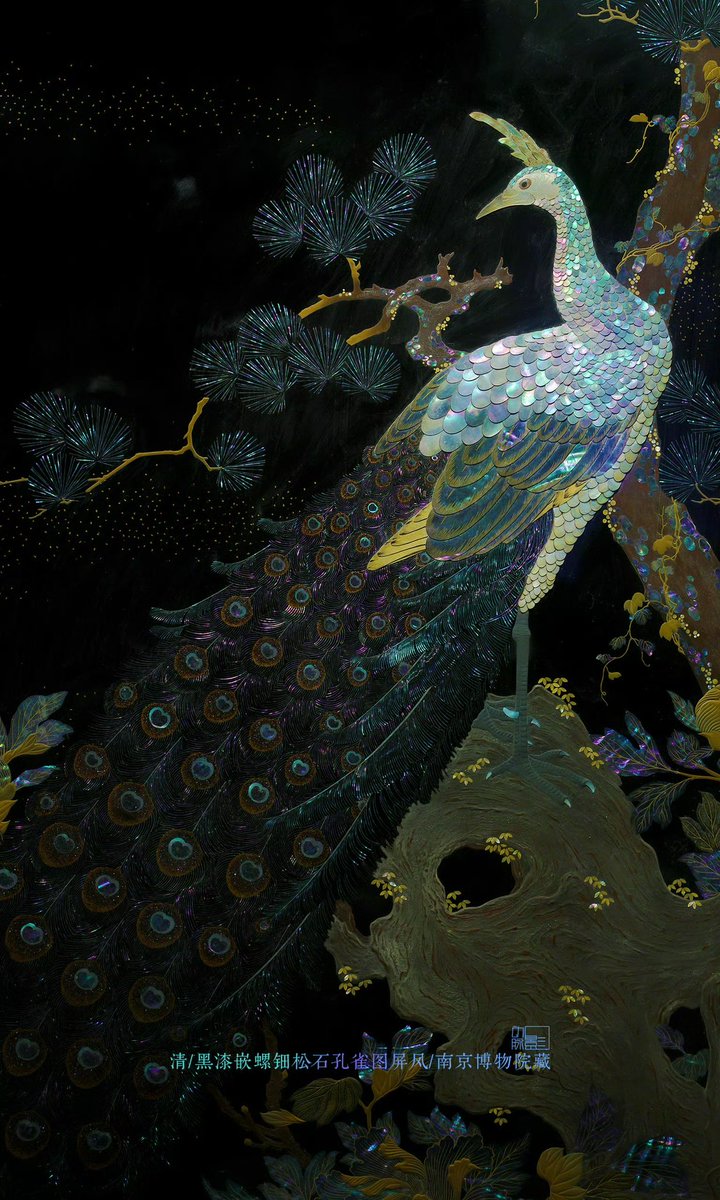 blackhumor tweet media