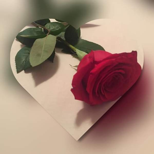 Just For You tweet media