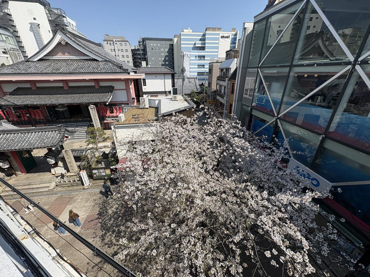 京都　新京極商店街【公式】 tweet media