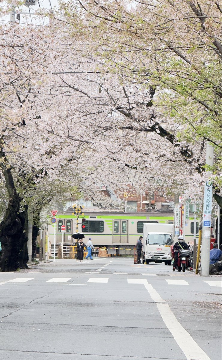株式会社鳶髙橋公式（髙橋慎治）/TOBITAKA tweet media