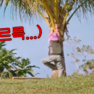 el .𖥔 ݁ ˖ tweet media