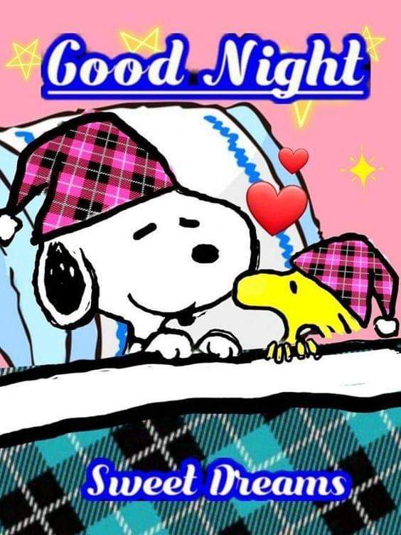 XoxoAgatha's tweet photo. https://t.co/kS5r7Sh2F5