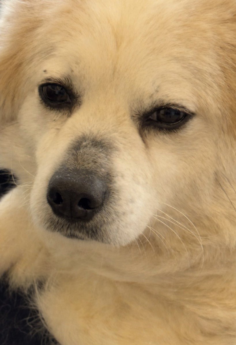 Galno 갈노🛰️ tweet media