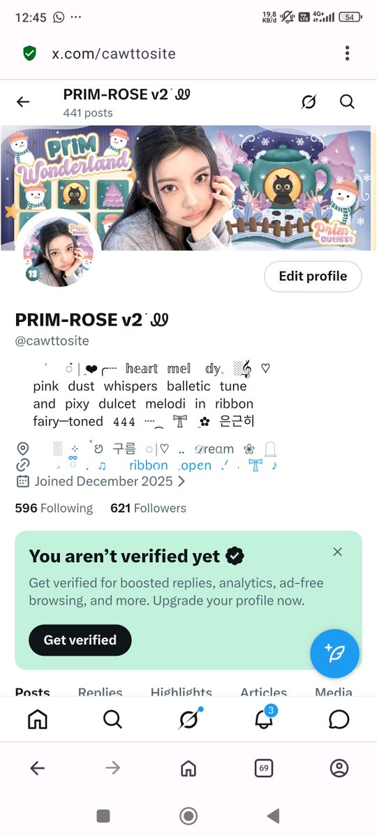 PRIM-ROSE v2 ࣪ Ꮺ tweet media