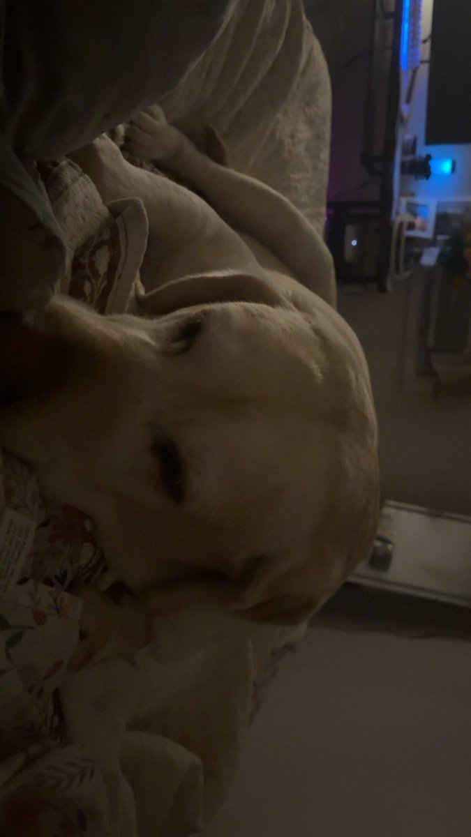 kyla ❤︎︎ tweet media