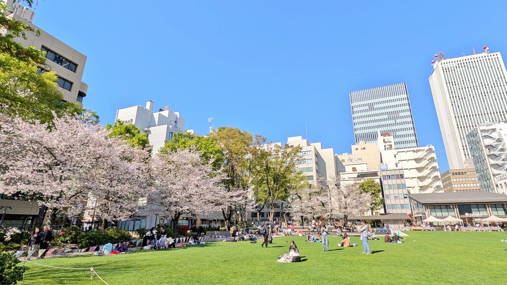 さけまら🍶⚽️⚾️🏀 tweet media