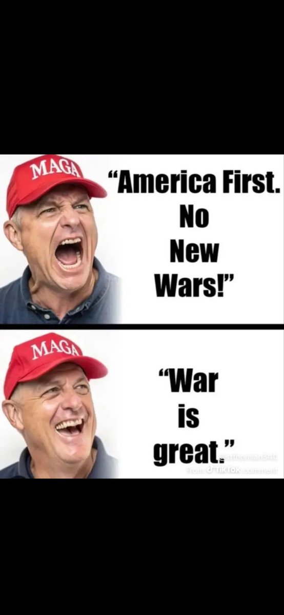 Papa Bear tweet media