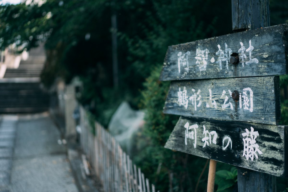 あさくら(Asakura) tweet media