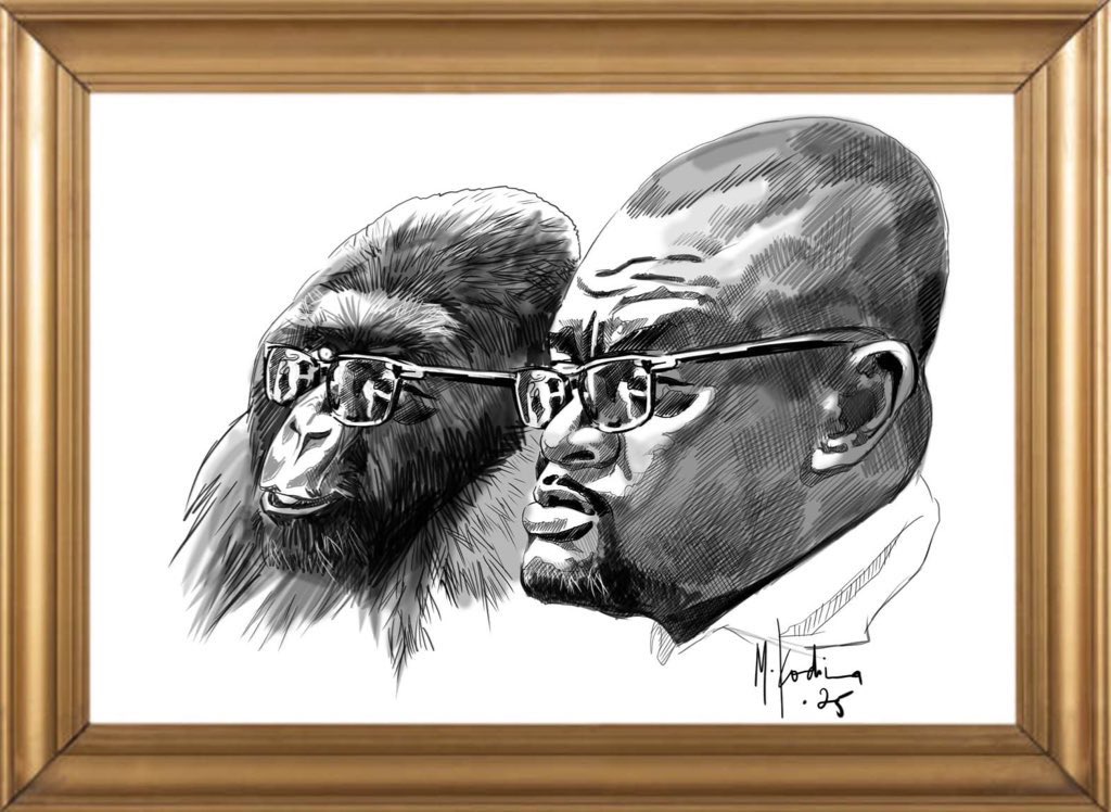 Ir Hars 🇨🇩🇨🇩🇨🇩🇨🇩🇿🇼🇿🇼🇿🇼🇿🇼 tweet media