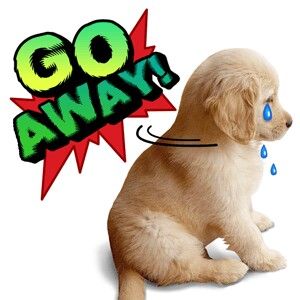 두됴지 tweet media