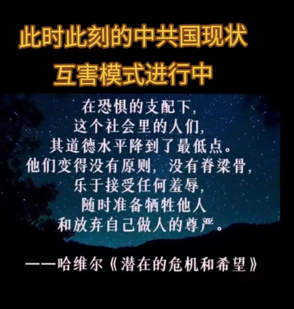 局部的主宰者 tweet media