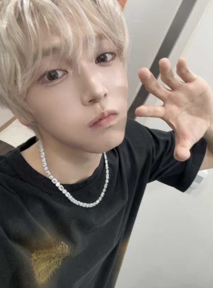 늠냥이 쓰다듬기 tweet media