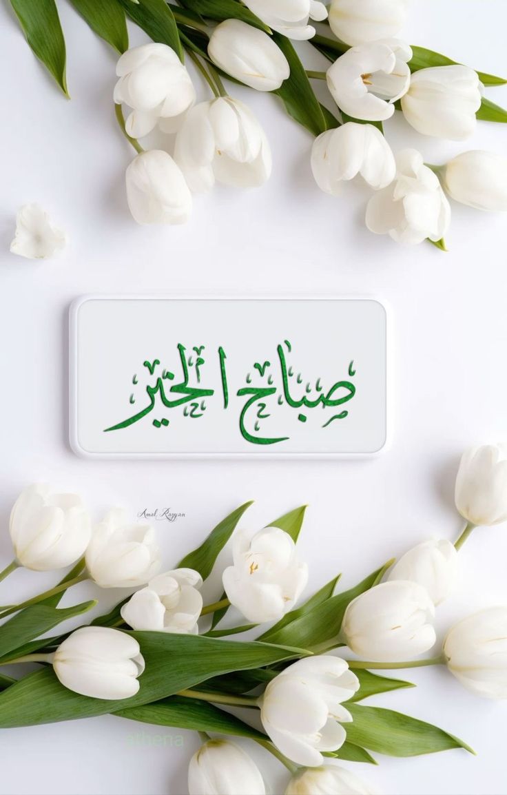 #םבםבM 🤍 #نائب_المدير مملكة المبدعين للدعم tweet media