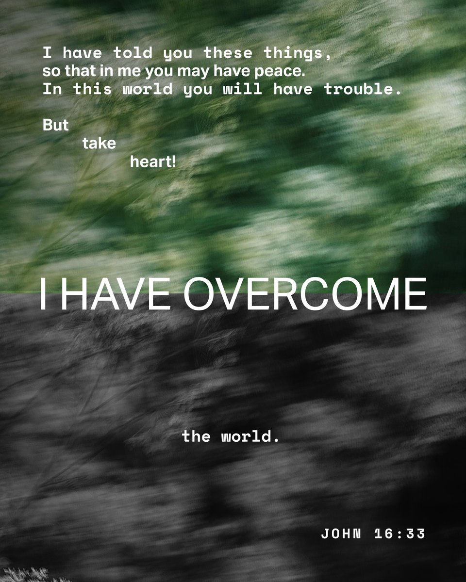 YouVersion Bible App tweet media