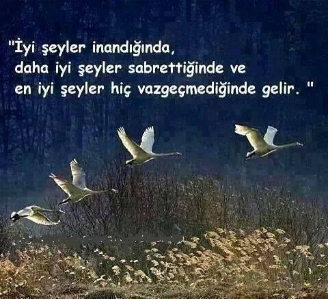 👮🏻‍♂️ Polis Hakları Mecrası 👮🏻‍♂️ tweet media