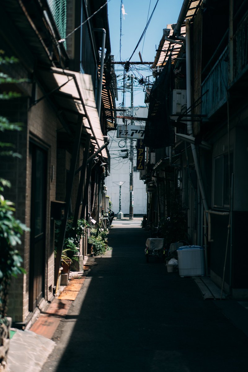 あさくら(Asakura) tweet media