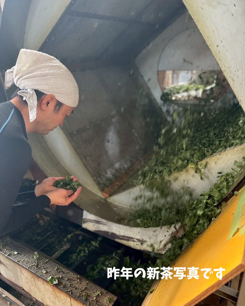 ochafarm's tweet photo. 🍃🆕🍃
2026年の新茶予約、始めさせていただきます！

酷暑だったり雨が降らなかったり寒かったりと、お茶の木にとって過酷な1年だったと思います。それを経た2026年の新茶。さあ一体どんなお茶なのでしょうか？今から楽しみです��

杉本園のお茶は自然栽培。自然に任せてじっくり育つので、一般のお茶屋さんより少しゆっくりな成長です。
少しお待たせしてしまいますが、到着までお待ちいただけますようよろしくお願いします。

※お茶の種類によって収穫〜火入れ〜完成となる日程が変わります。
ご注文の前に日程を確認していただけると幸いです。

大切な方へ送る上質なギフト・来客用おもてなしのお茶・日常的に飲むお茶。ぐびぐび飲みやすいものからゆっくりじっくり味わいたいものまで。あなたのお好みでお選びください☺️
どれがいいかな？と迷われたらご相談くださいね！

#自然栽培 #無農薬茶 #無農薬 #新茶 #ギフト