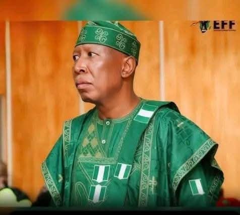 Mr Nature Explorer tweet media