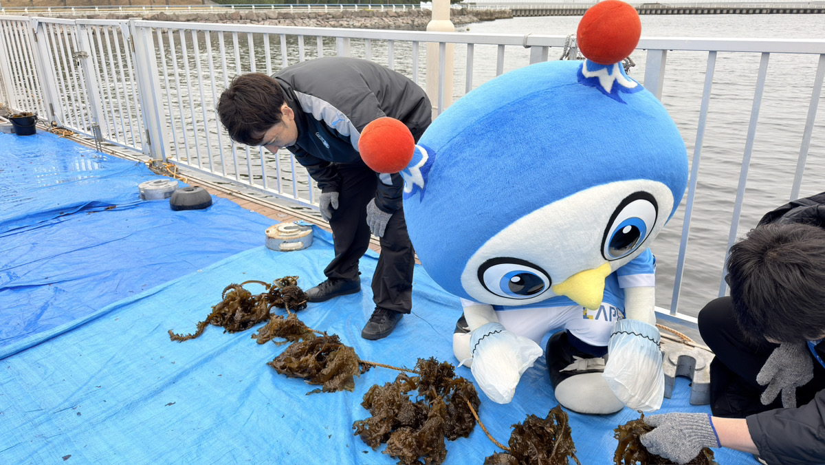 横浜FC【公式】 tweet media