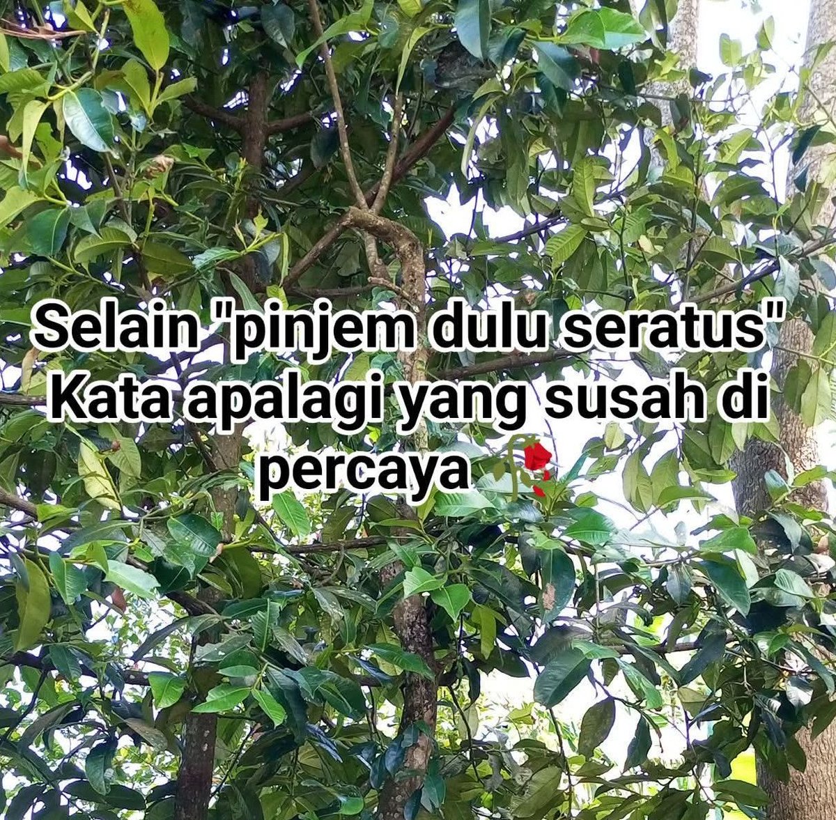 Ketawa itu GRATIS 🛩 tweet media