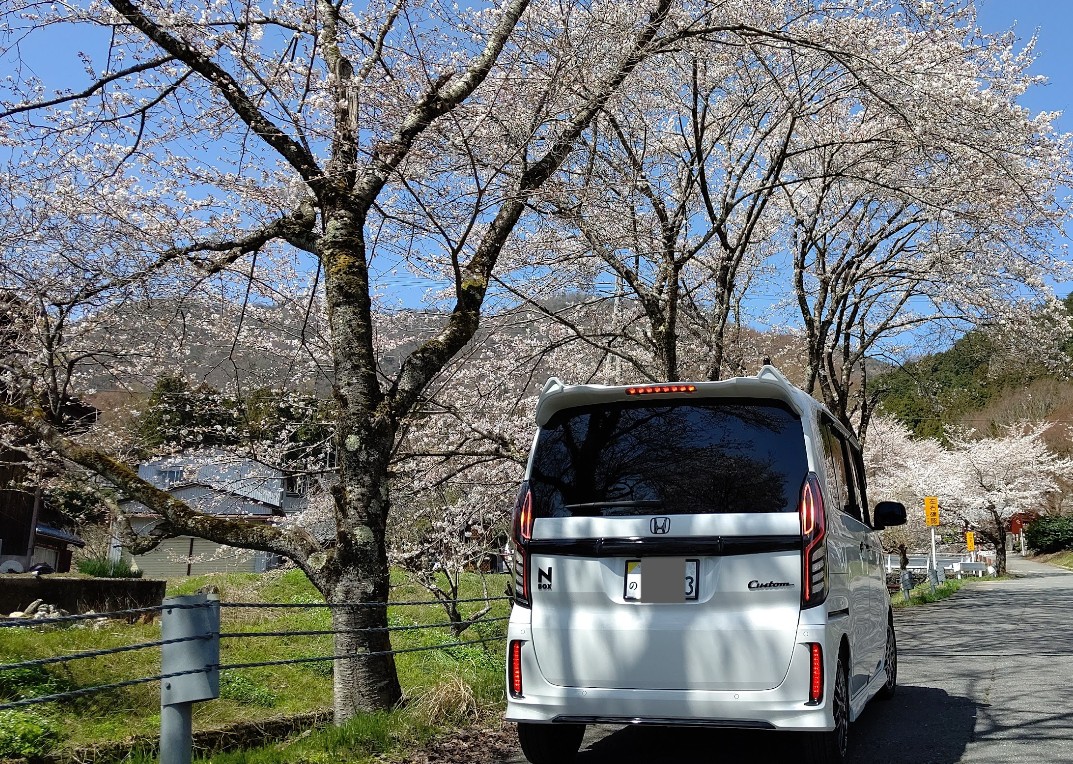 #ちょっと斜め後からがカッコいい