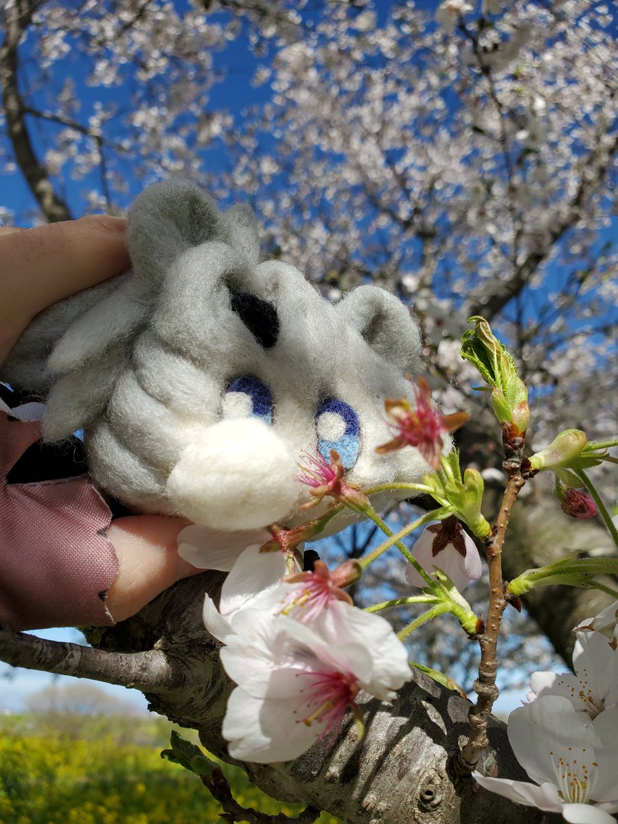 レゴラス tweet media