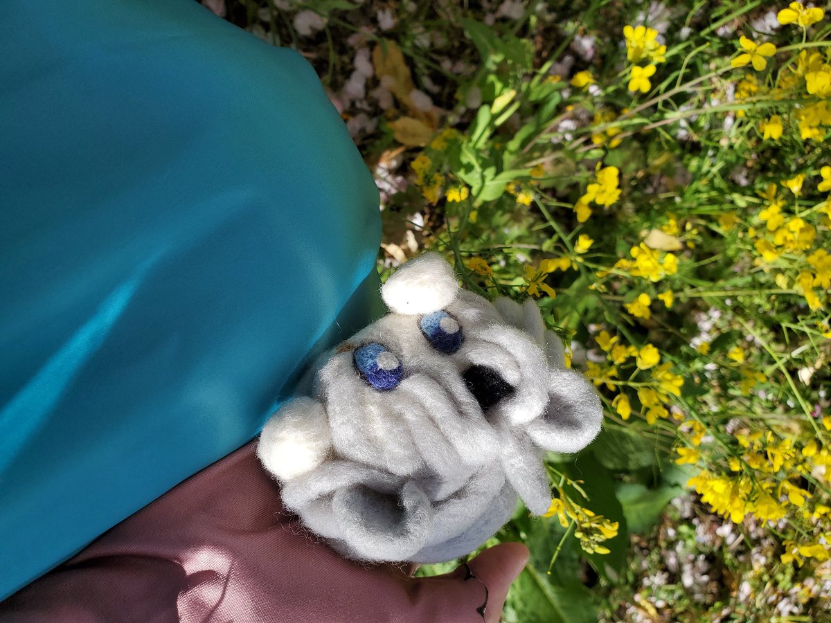 レゴラス tweet media