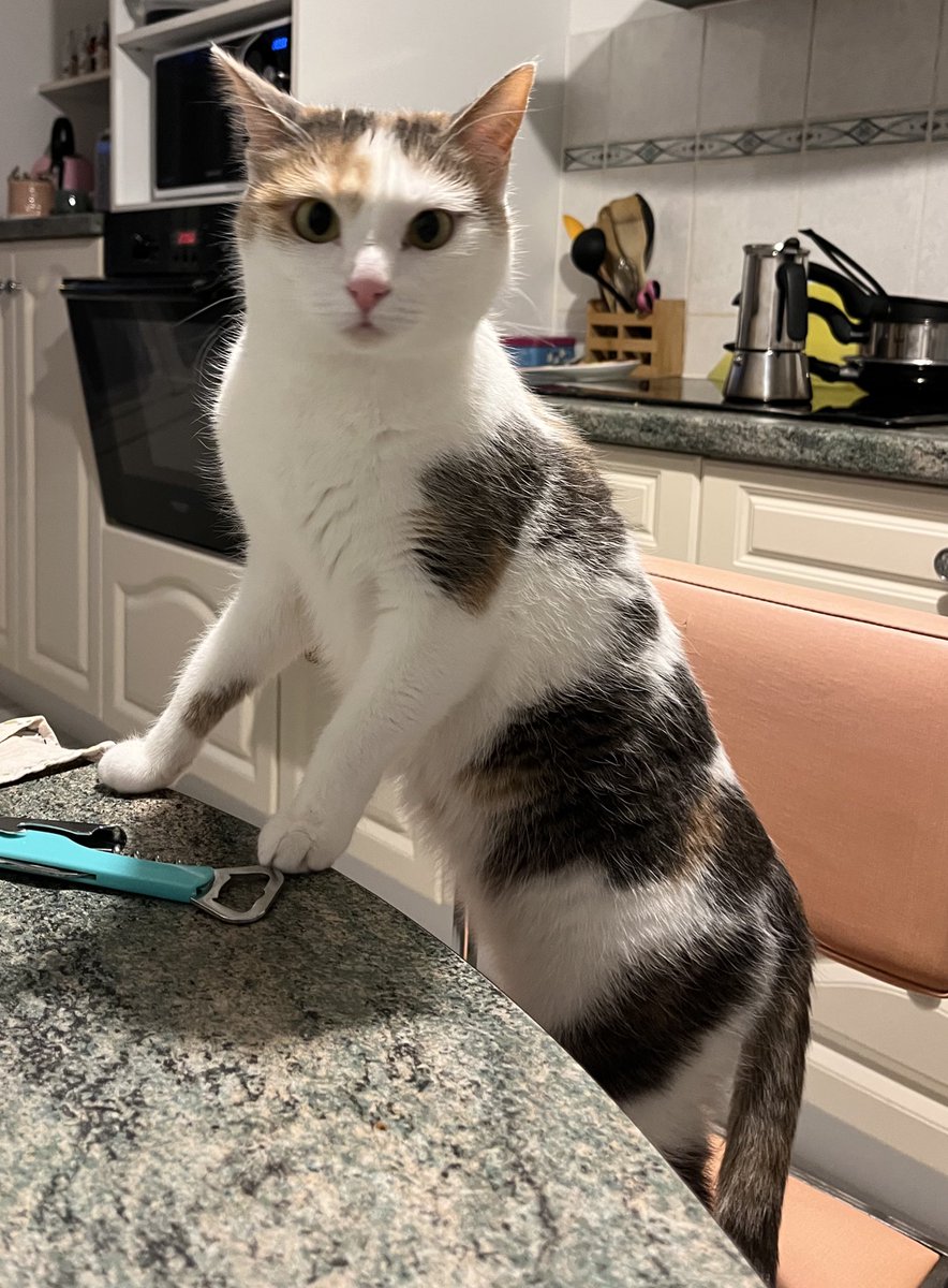 toupie bébé tweet media