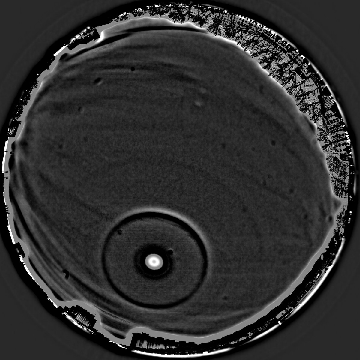 Sufflection.wav tweet media