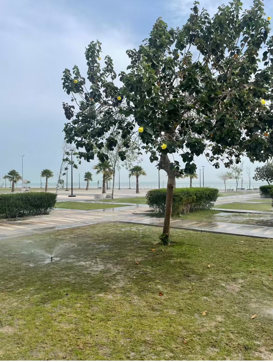 #صباح_الأشياء_المُشرقة 
#صباح_آلخيــــر 
#السعودية 

صباحُ الأمنِ والأمانِ والاستقرار،
صباحٌ يُشرق كإشراقةِ شمسِ وطنِنا الغالي،
صباحُ سعادةٍ وطمأنينةٍ تُلامس القلوب.

صباحٌ يليق بقلوبكم المضيئة وأيامكم المفعمة بالأمل.⭐️⭐️