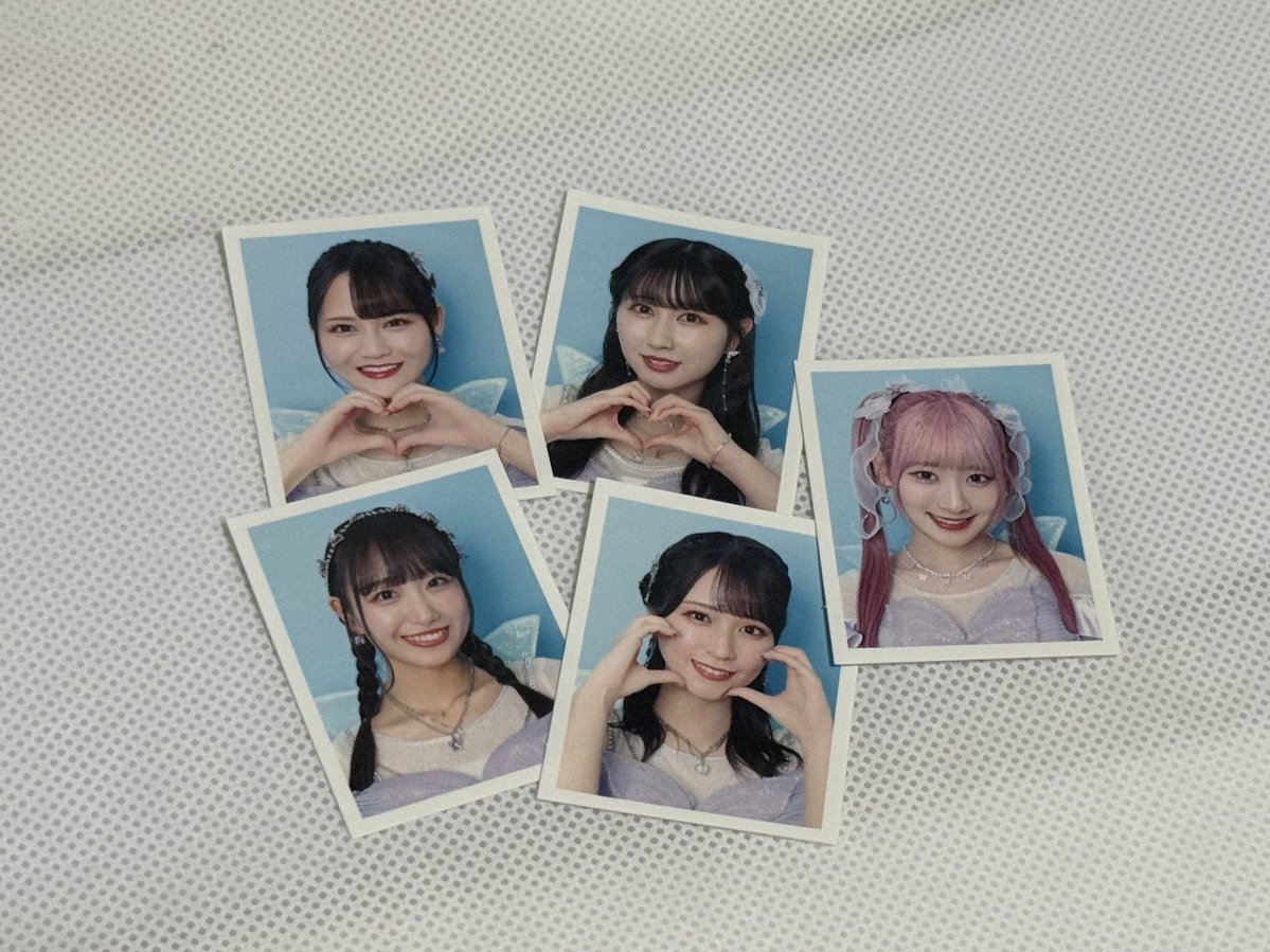 とーふ tweet media