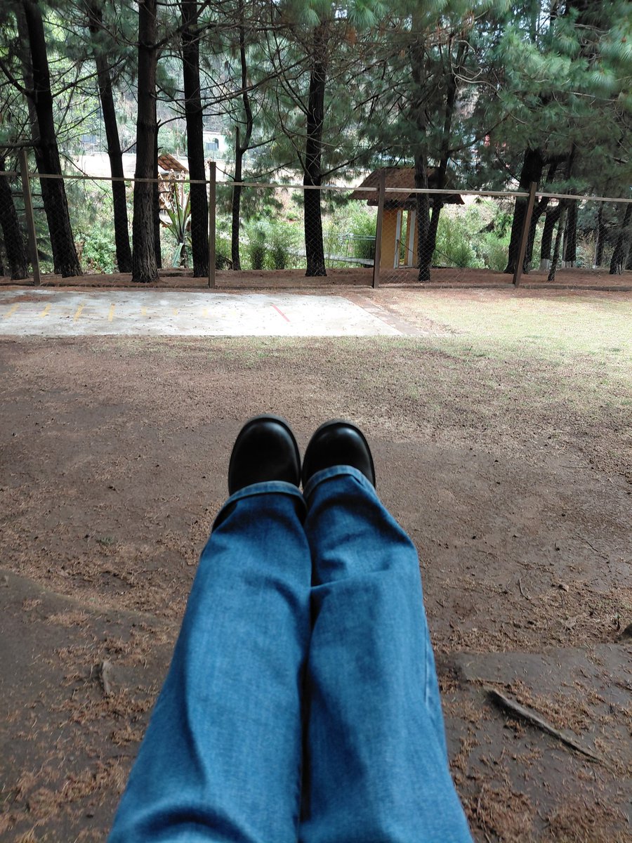 lilixche07's tweet photo. 🫎🦫
Bonanza https://t.co/cPIfodjiFt