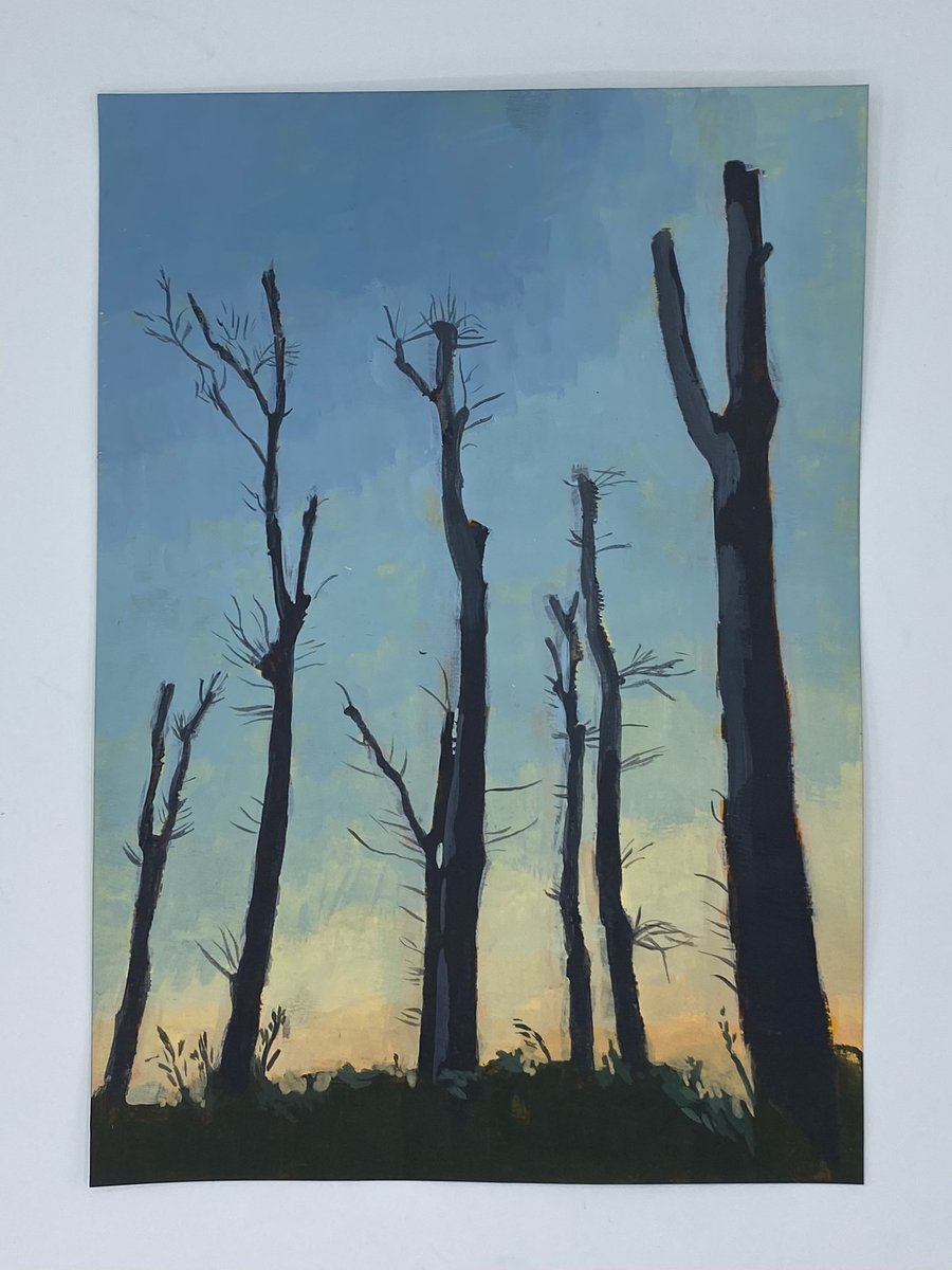 武内雄大 tweet media